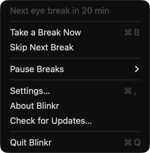 Blinkr's menu-bar menu: next break countdown, Take a Break Now, Skip Next Break, Pause Breaks, Settings, About, Check for Updates, and Quit.