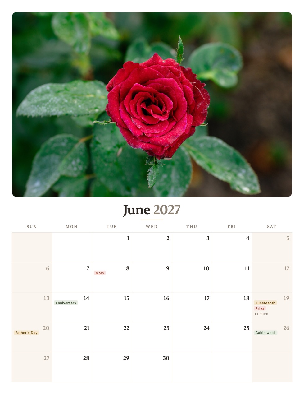 A June 2027 calendar page in the Heirloom theme: a photograph of a red rose above a warm serif month name on cream, with birthdays and holidays printed as tinted chips.
