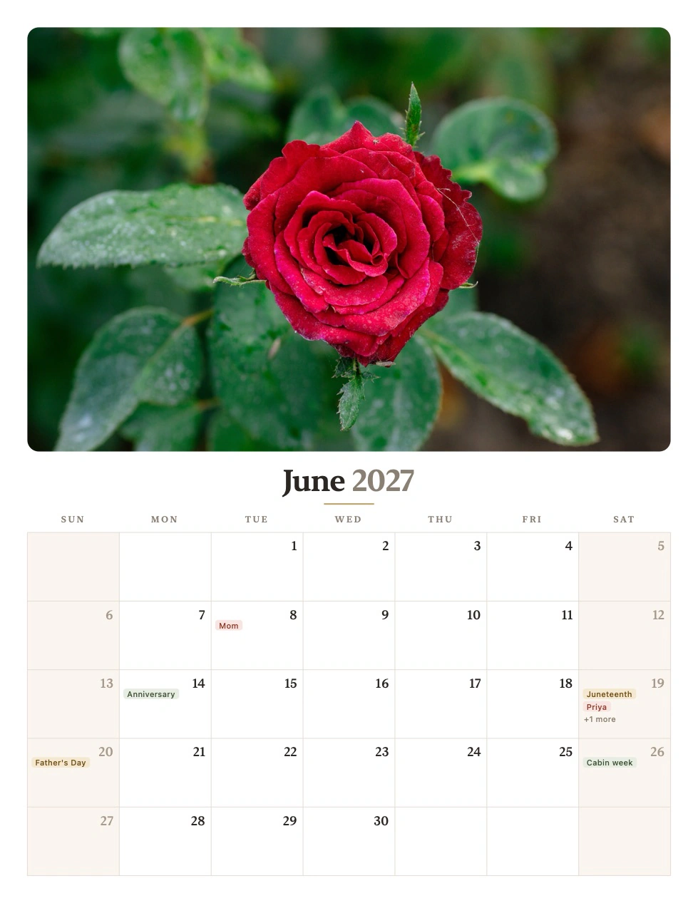 A June 2027 calendar page in the Heirloom theme: a photograph of a red rose above a warm serif month name on cream, with birthdays and holidays printed as tinted chips.