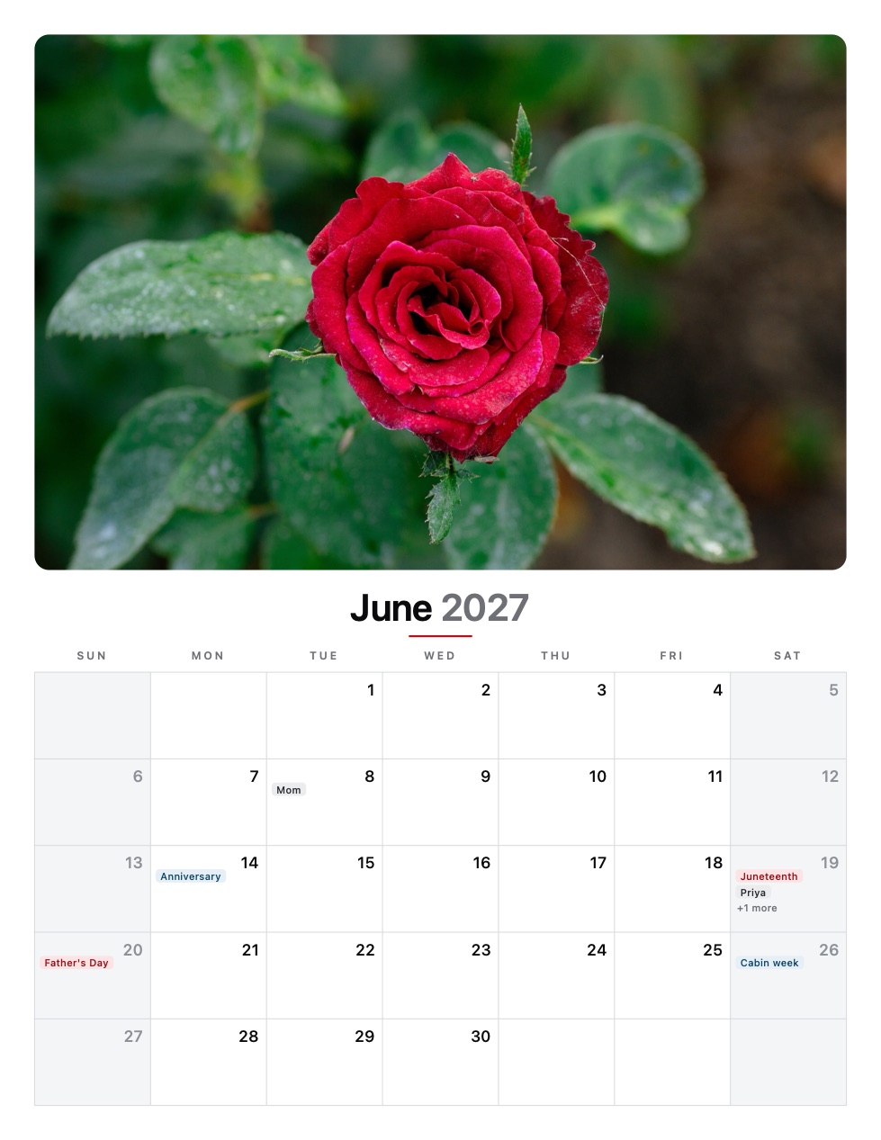 The same June 2027 rose page in the Noir theme: high-contrast grotesque type with a single crimson accent.