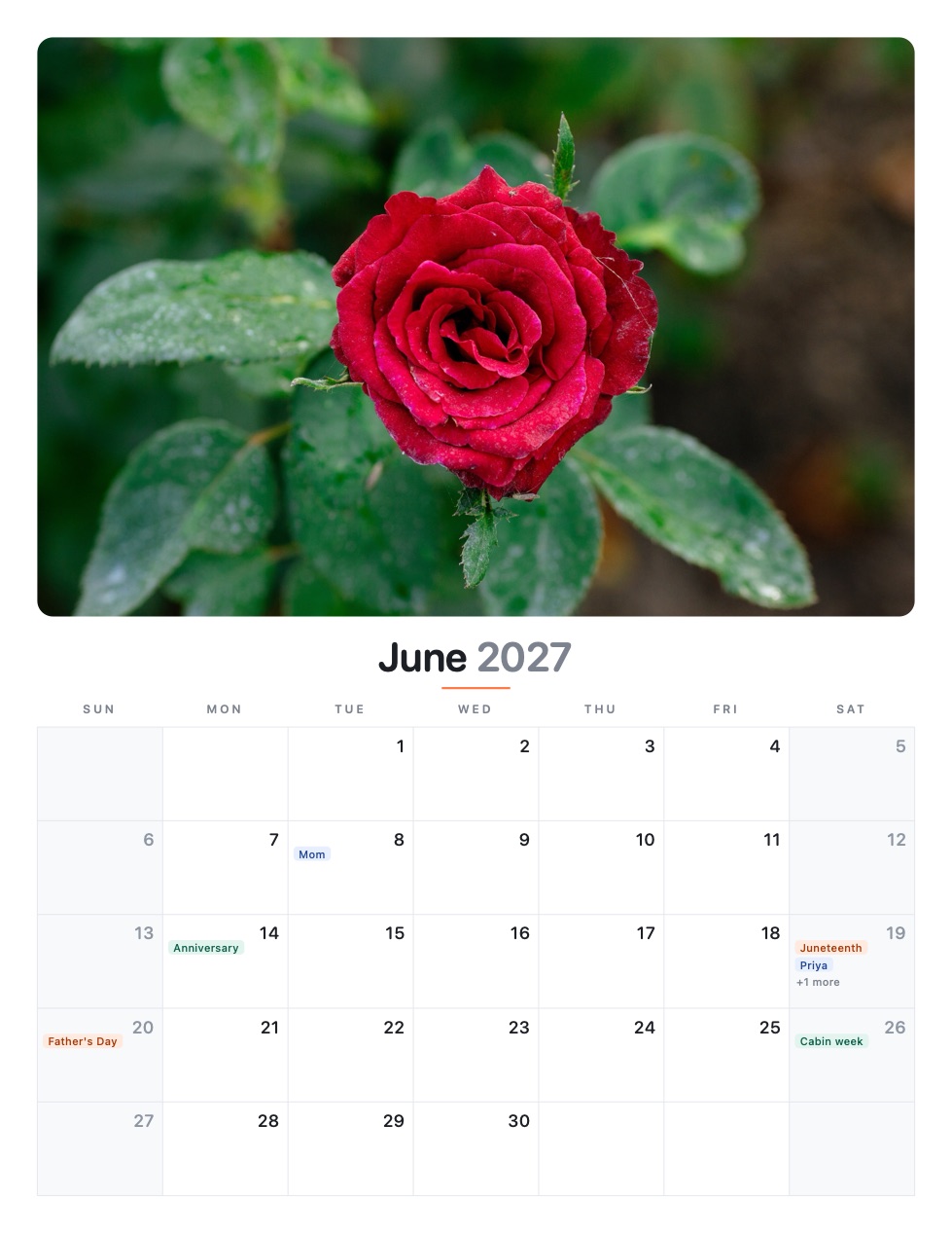 The same June 2027 rose page in the Studio theme: soft rounded type with coral and blue event chips.